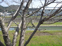 DSCN6162