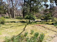 20150325_115728