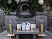 IMGP2167