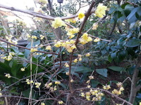 20170203_162458