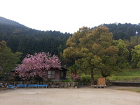 20160416_063040