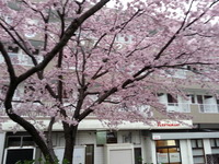 20170410_173313