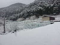 20170123_084116