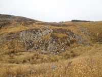 DSCN5788