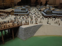 DSCN8521