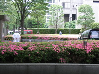 RIMG0007