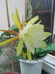 RIMG0503