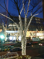 RIMG0209