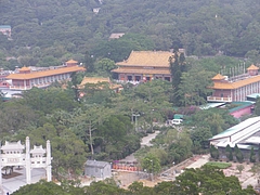 IMGP5447