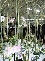 RIMG0059