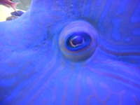 DSCN0461