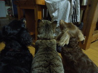 DSCN1189
