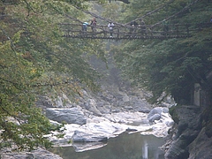 RIMG0982