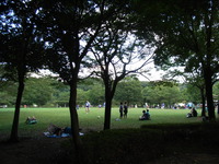 RIMG0550