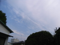 RIMG0353