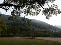 20160416_062850