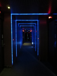 IMG_0299