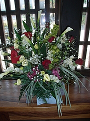 RIMG0594