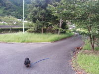 20140827_175116