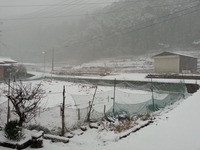 20170210_080113
