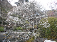 DSCN0566