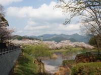 DSCF1206