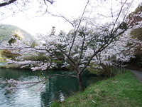 DSCF1376