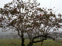 20161026_063156