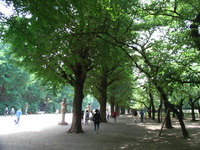RIMG0271