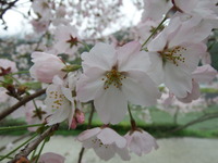 DSCF0939