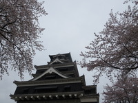 IMG_3536