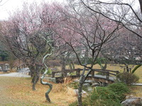 DSCN4504