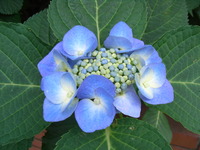 RIMG0149