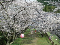 DSCF1219
