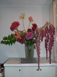 RIMG0397