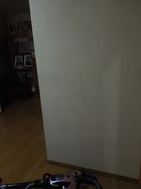 DSCN9958