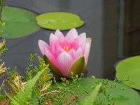 DSCN0193