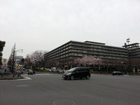 20160323_100542