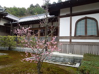 DSCN5841