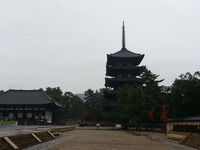 20141125_111850