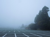 DSCN0193