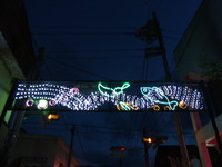 RIMG0263