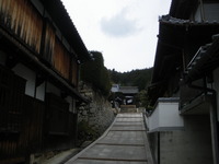 IMGP2274