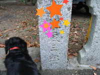 BlogPaint