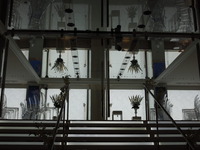 DSCN0539