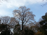 20160329_154031