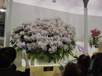 DSCN9957