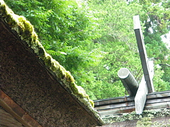 IMGP3212