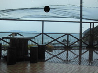 DSCN2068