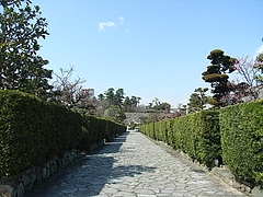 RIMG1449